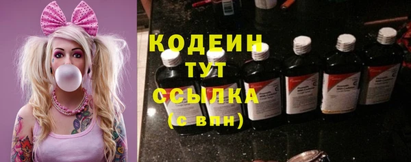 индика Карталы