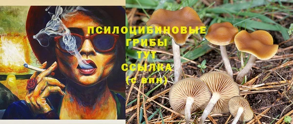 индика Карталы