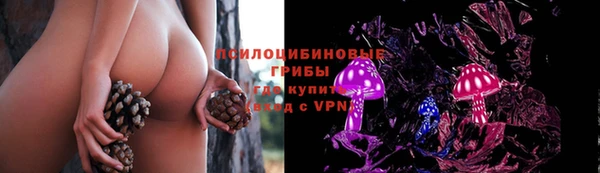 индика Карталы