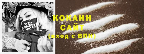 индика Карталы